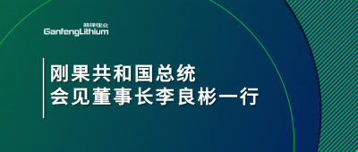 刚果共和国总统会见ng电子游戏锂业董事长李良彬一行